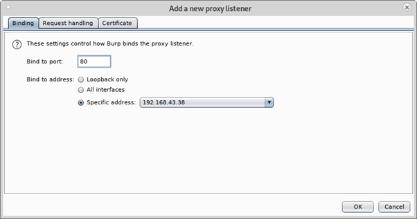 BurpSuite Proxy Settings - 2