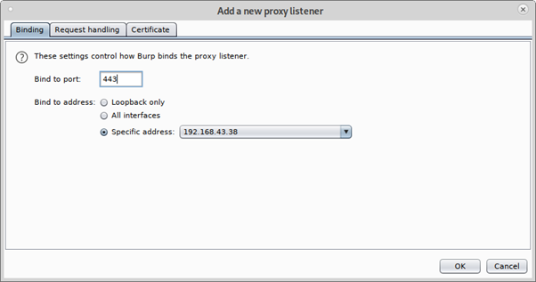 BurpSuite Proxy Settings - 4