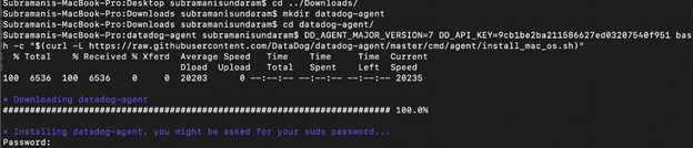 Datadog script agent