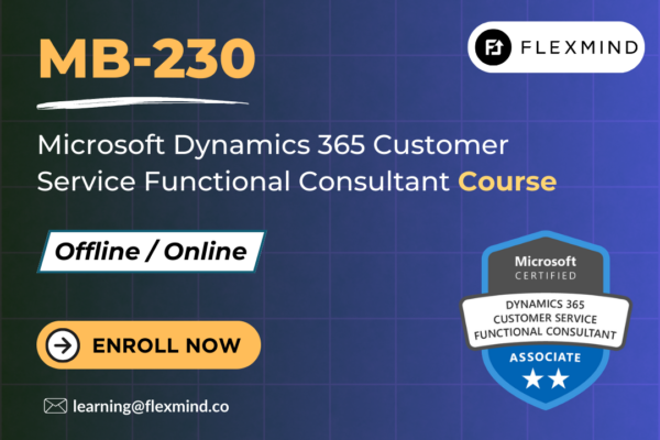 Customer Service Functional Consultant Training | MB-230 Certification ...
